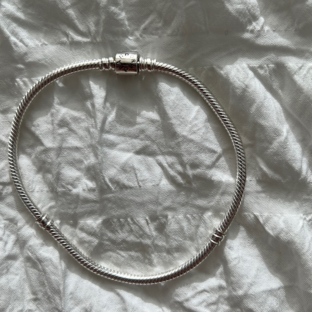 Pandora charm bracelet